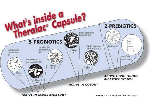 Inside a Theralac Capsule