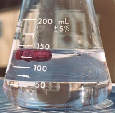 Intestinal Environment Exposure Test