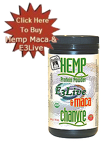 hemp protein powder paleo